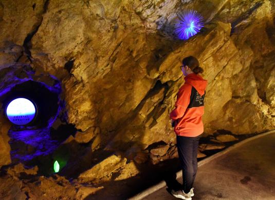 Výstava DNA ve Zbrašově