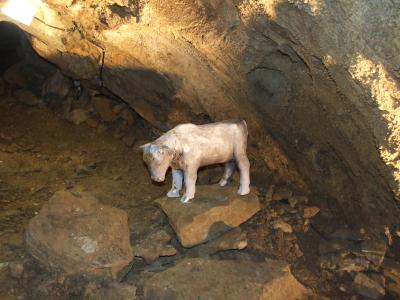 Kristina Vesková: Do Hloubky v ZAJ