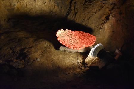 Výstava DNA, Crystal Creative v ZAJ