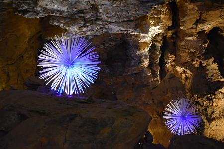 Výstava DNA, Crystal Creative v ZAJ