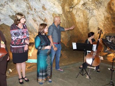 Vystavené obrazy představil osobně jejich autor Hesham Malik.