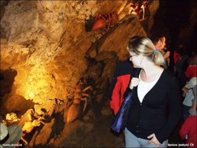 Výstava Michala Trpáka Zpátky do jeskyně v ZAJ, 2013