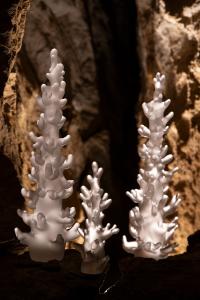 Výstava Světlo sklem Ondřeje Strnadela, léto 2023