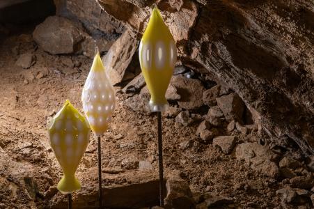 Výstava "Voda / sklo / voda" ve Zbrašovských jeskyních, léto 2024