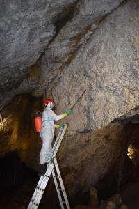 Očista výzdoby. Foto Jakub Fibich