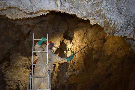 Postřik opony. Foto Slavomír Černý