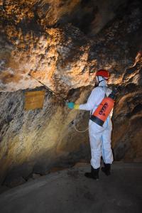 Sanace stěn. Foto Jakub Fibich