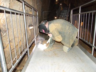 Svařování a oprava nerezových konstrukcí. Foto Slavomír Černý