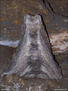 Zbrašovské aragonitové jeskyně - interiéry