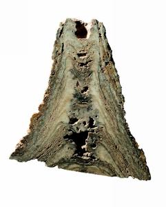 Zbrašovské aragonitové jeskyně - gejzírový stalagmit