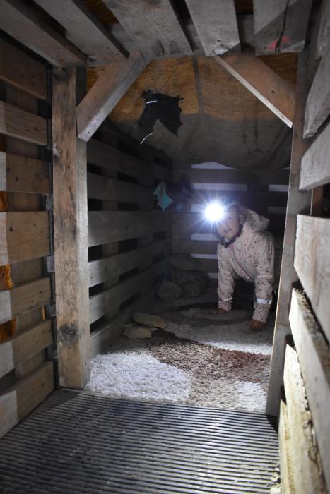 V podzemí se vyskytují i netopýři a pavouci