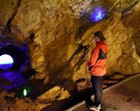 Výstava DNA ve Zbrašově