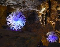 Výstava DNA, Crystal Creative v ZAJ